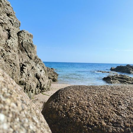 La Suite Appartement Pleine Vue Mer Concarneau Exteriér fotografie